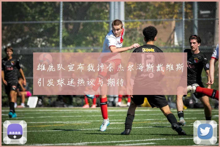 雄鹿队宣布裁掉奈杰尔海斯戴维斯引发球迷热议与期待